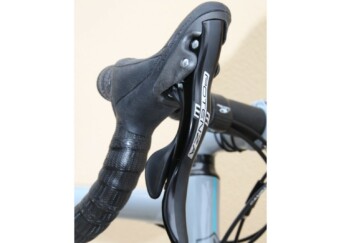 Wild sheep are not hard to dodge on the gruellingly steep climb from Astern to the Mynd.